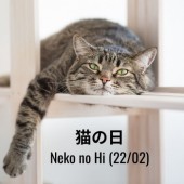 Neko no Hi - Ngày của mèo tại Nhật Bản có gì đặc biệt?